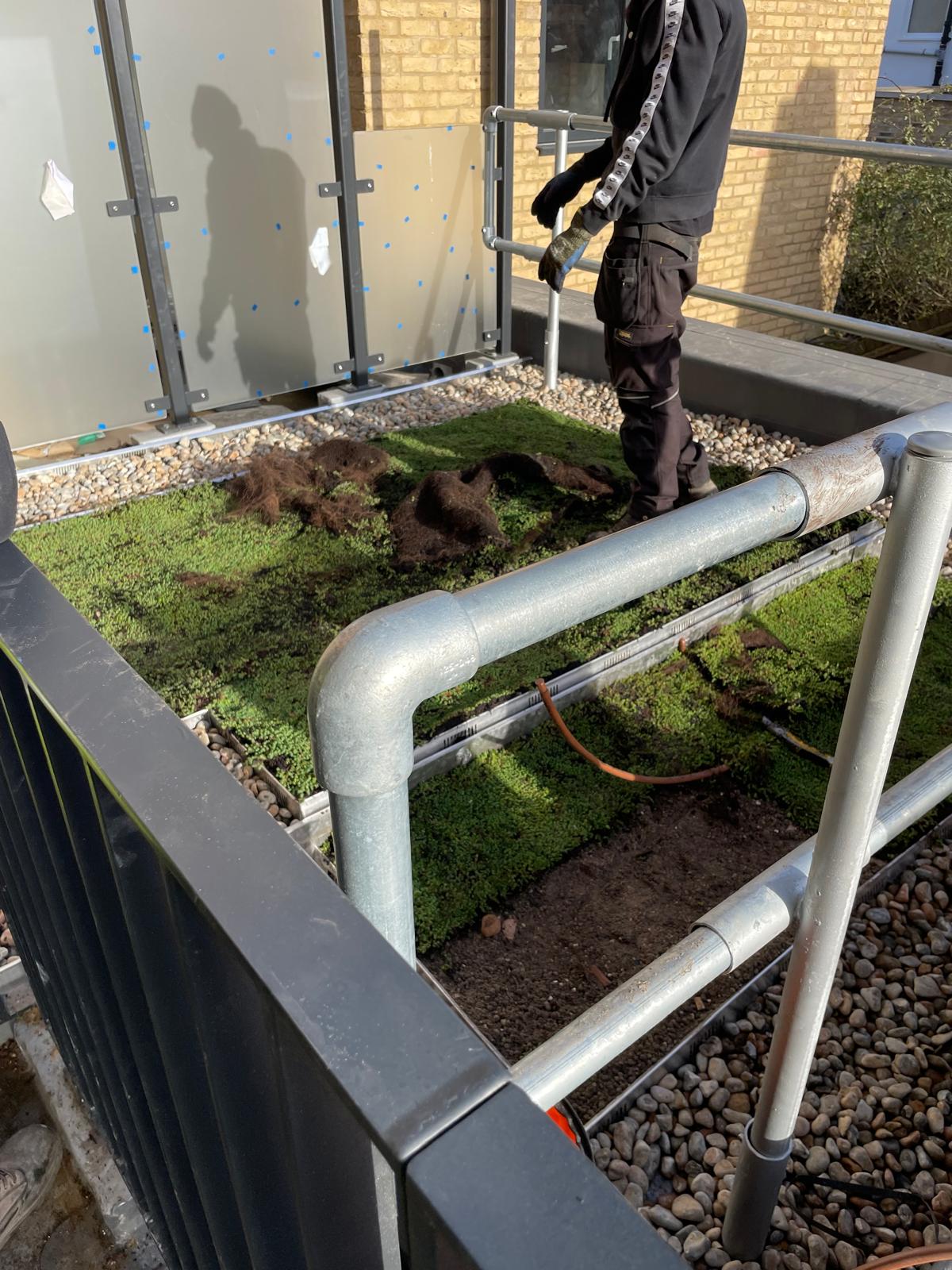 Green roof installation to the rooftop terraces.